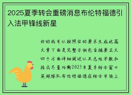 2025夏季转会重磅消息布伦特福德引入法甲锋线新星